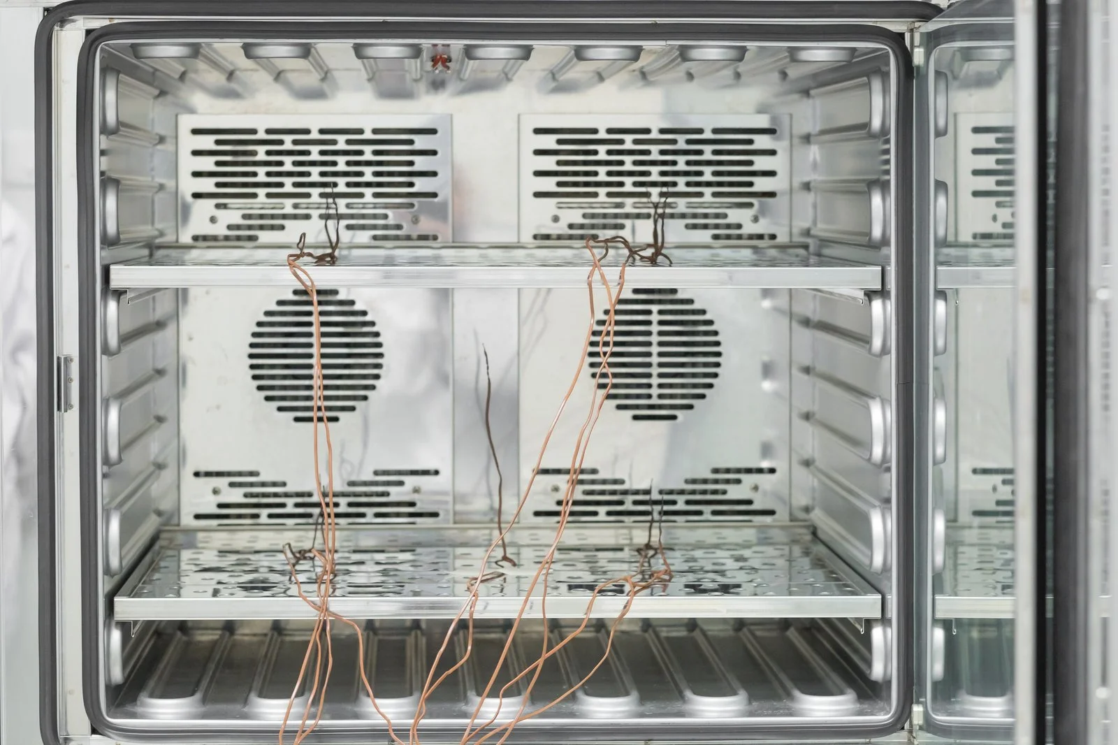Temperature probes arranged across the shelves of a laboratory calibration chamber